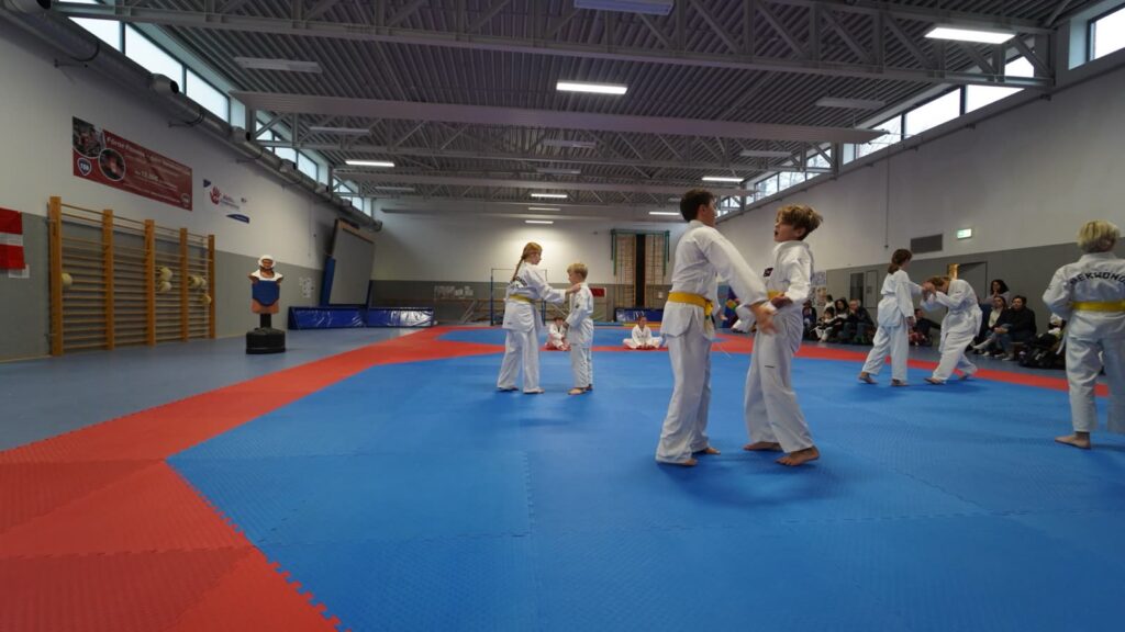 Gürtelprüfung in der Sönke-Voß-Halle (November 2024) – Taekwondo beim TSB Flensburg