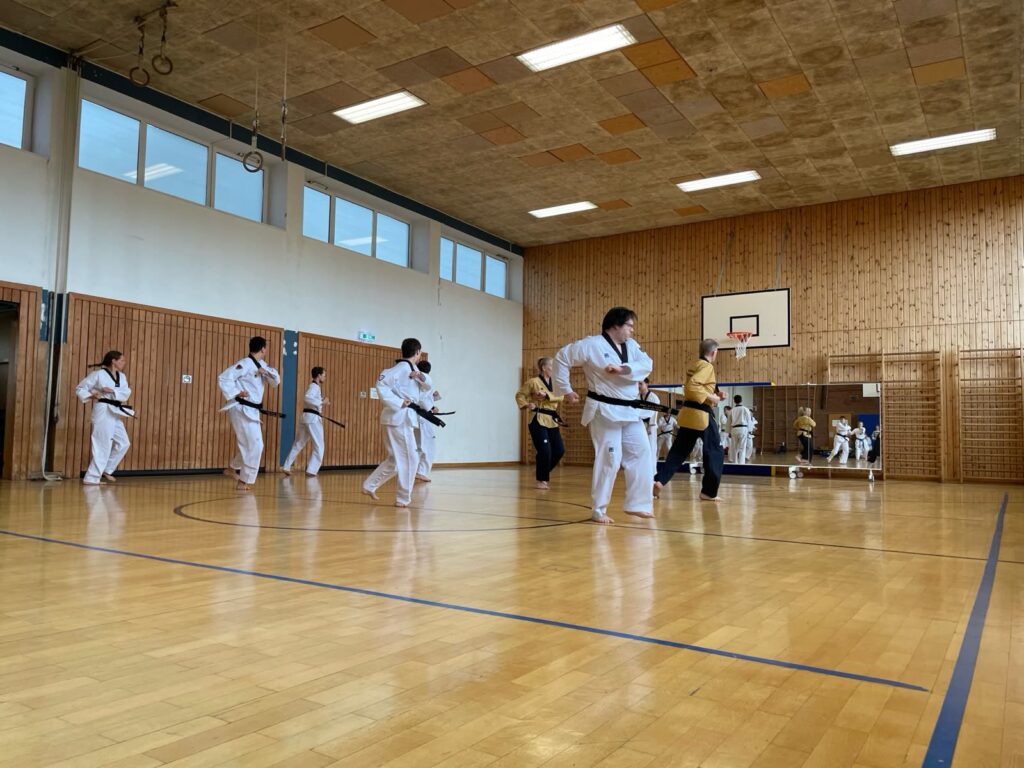 Poomsae beim Breitensportlehrgang (Juni 2024) – Taekwondo beim TSB Flensburg