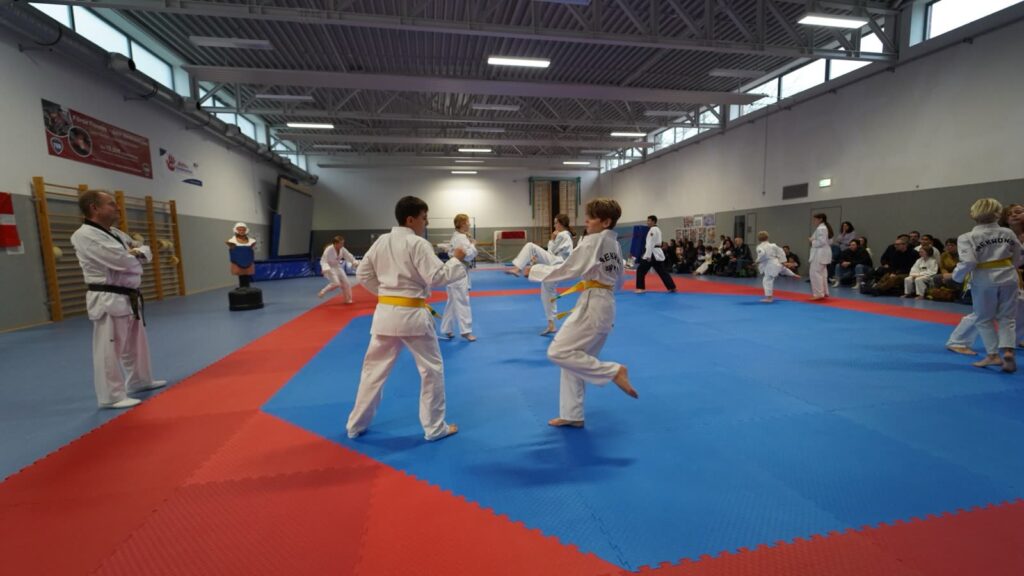 Partnerübung vor Publikum – Taekwondo beim TSB Flensburg
