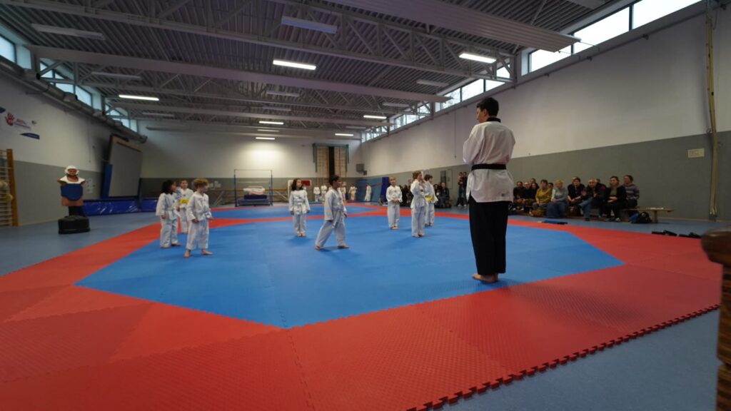 Das Trainerteam verfolgt die Techniken – Taekwondo beim TSB Flensburg